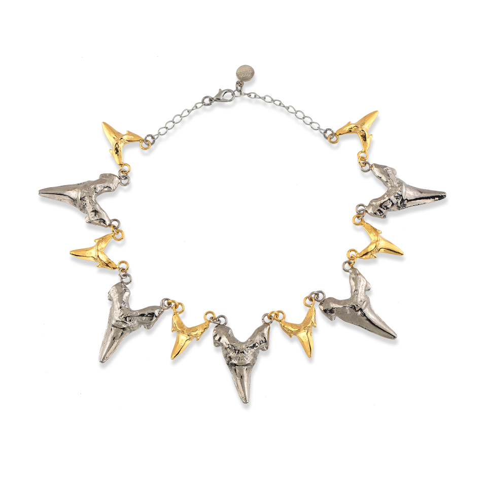 Shark Kolye